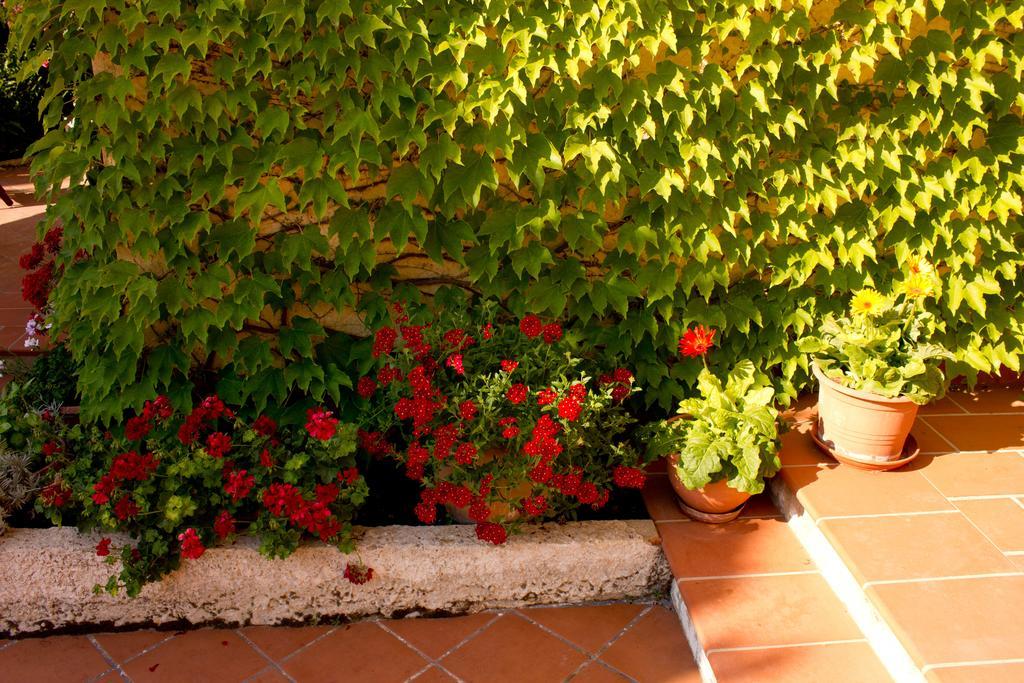 Casa Del Falso Pepe - Scala Dei Turchi Realmonte Zewnętrze zdjęcie